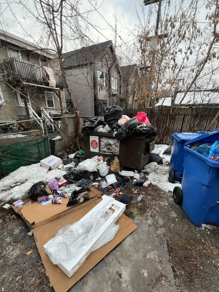 A bin overflowing with bags, with garbage and cardboard spread across the ground