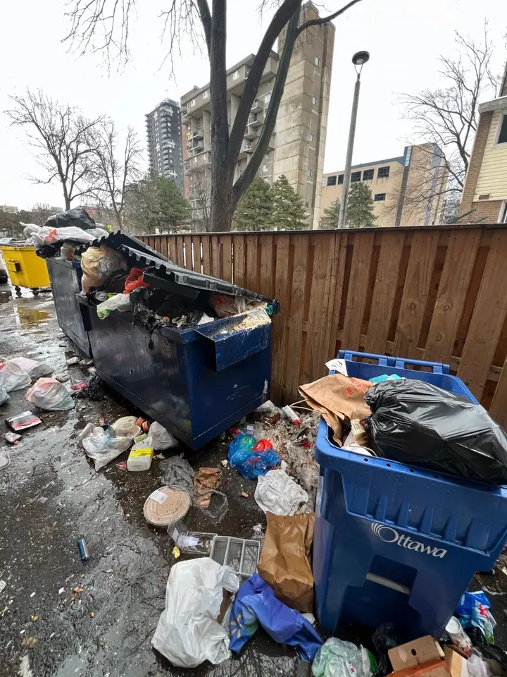 Overflowing bins with bags and loose garbage on the ground